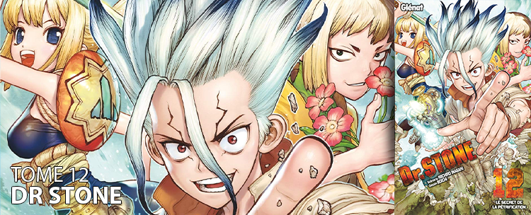 Avis Manga Dr Stone Tome 12